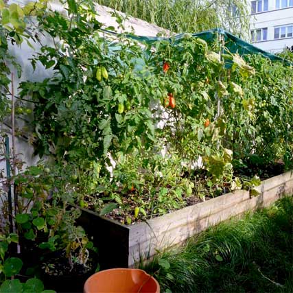 Brussels Kitchen Garden